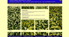 Desktop Screenshot of hosta.cz